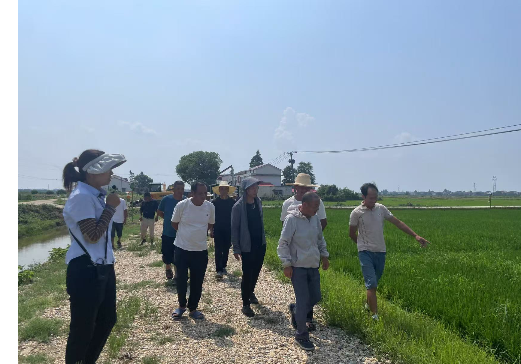 河市镇召开水稻单产提升经验交流暨秋冬种工作安排部署会