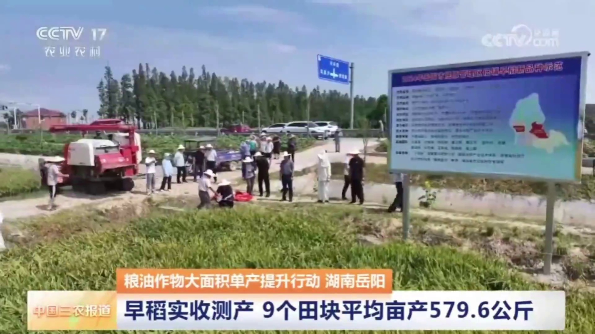 【央视·中国三农报道】湖南岳阳：粮油作物大面积单产提升行动 早稻实收测产 9个田块平均亩产579.6公斤
