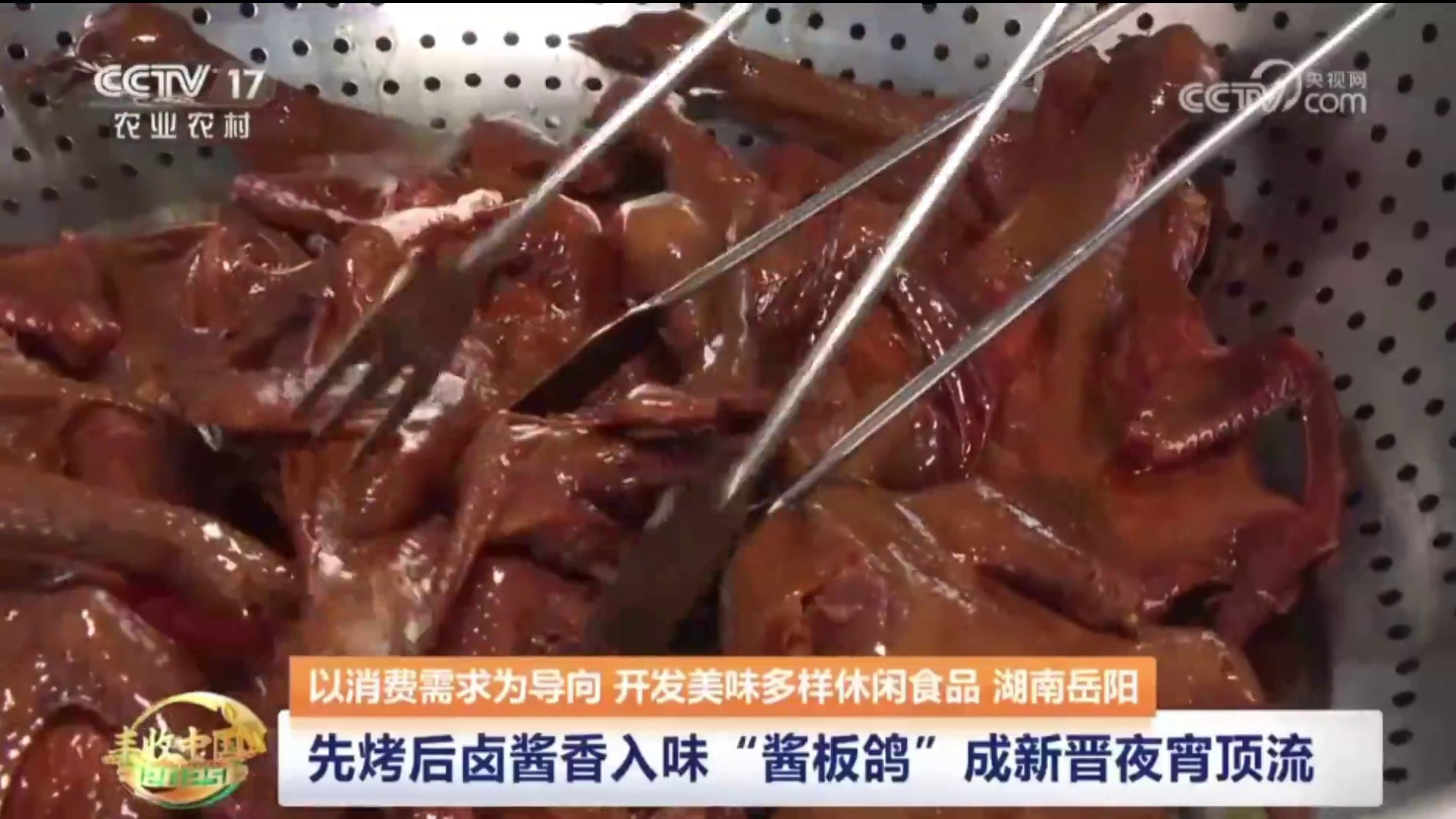 【央视 · 中国三农报道】以消费需求为导向 开发美味多样休闲食品 湖南岳阳 先烤后卤酱香入味“酱板鸽成新晋夜宵顶流