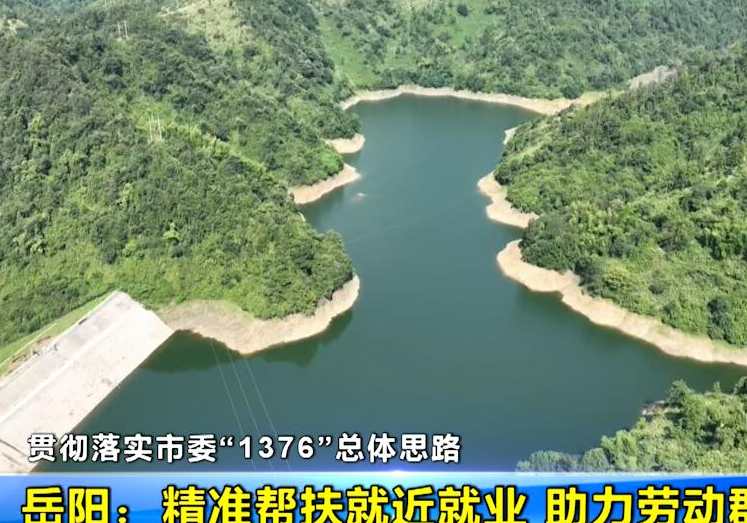【贯彻落实市委“1376”总体思路】岳阳：精准帮扶就近就业 助力劳动群体增收
