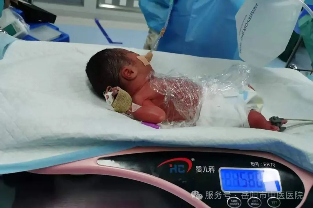 微信图片_20250823092240_72_346.jpg