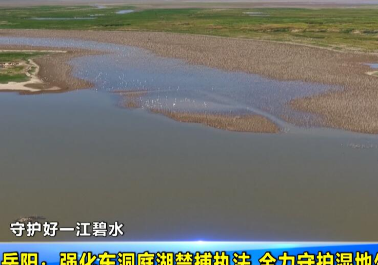 【守护好一江碧水】岳阳：强化东洞庭湖禁捕执法 全力守护湿地生态安全 