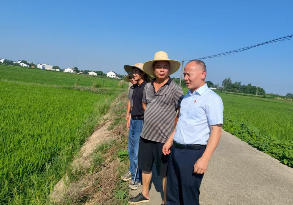 厚植营商沃土 河市镇精准服务赋能农业企业稳健发展