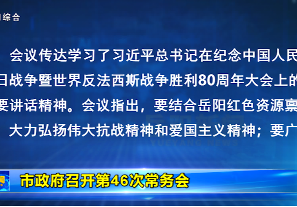 市政府召开第46次常务会