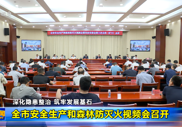 全市安全生产和森林防灭火视频会召开 李挚出席并讲话