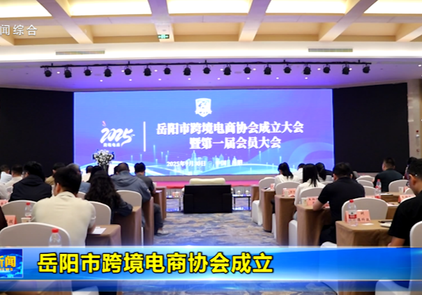 岳阳市跨境电商协会成立