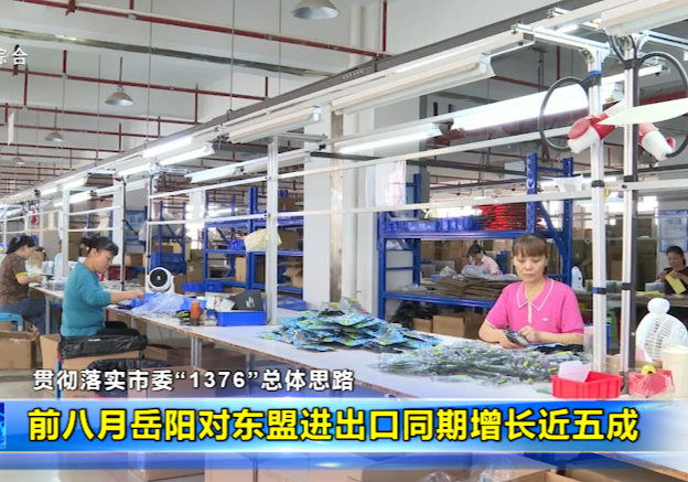 【贯彻落实市委“1376”总体思路】前八月岳阳对东盟进出口同期增长近五成