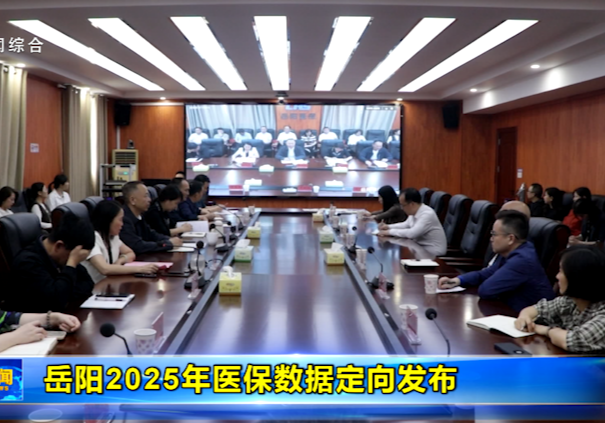 岳阳2025年医保数据定向发布