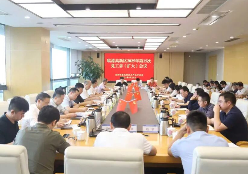 临港高新区召开2025年第15次党工委（扩大）会议