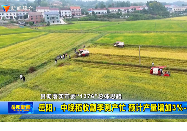 【贯彻落实市委“1376”总体思路】岳阳：中晚稻收割季测产忙 预计产量增加3%-5%