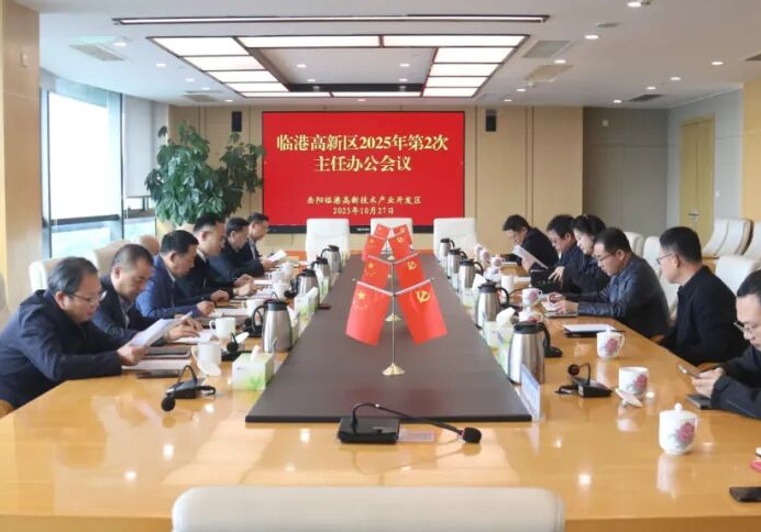 岳阳临港高新区召开2025年第2次主任办公会