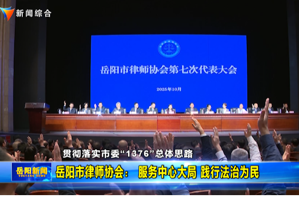 【贯彻落实市委“1376”总体思路】岳阳市律师协会：服务中心大局 践行法治为民