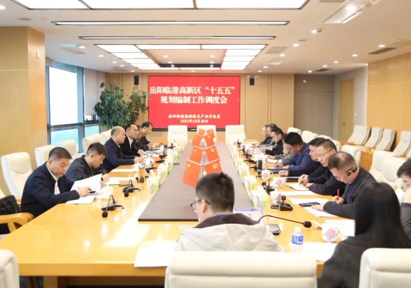 岳阳临港高新区召开“十五五”规划编制工作调度会