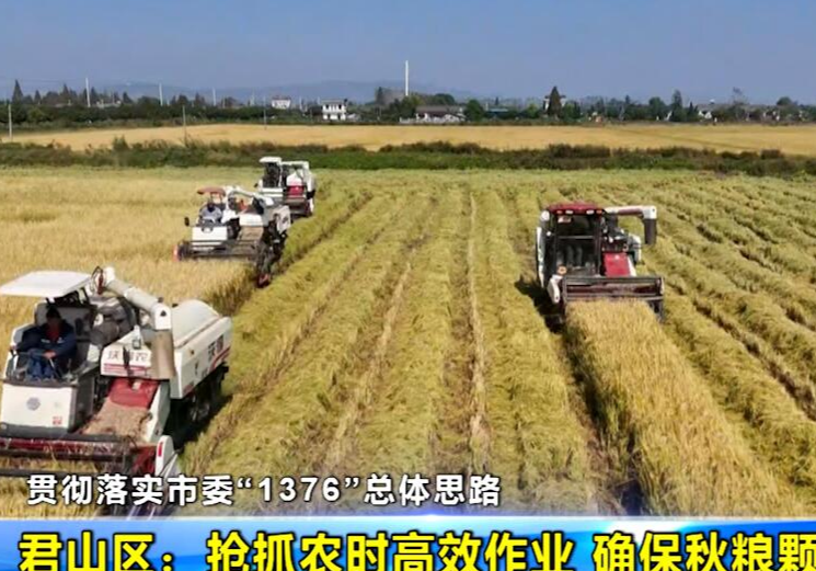 【贯彻落实市委“1376”总体思路】君山区：抢抓农时高效作业 确保秋粮颗粒归仓