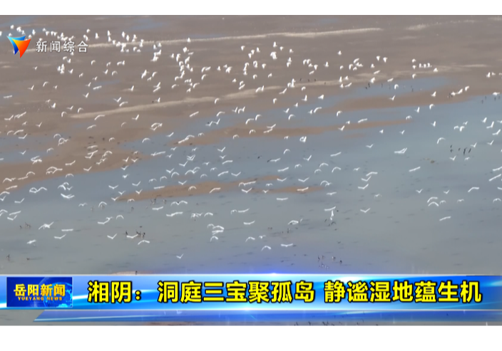 湘阴：洞庭三宝聚孤岛 静谧湿地蕴生机