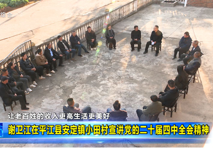 让老百姓的收入更高生活更美好 谢卫江在平江县安定镇小田村宣讲党的二十届四中全会精神  