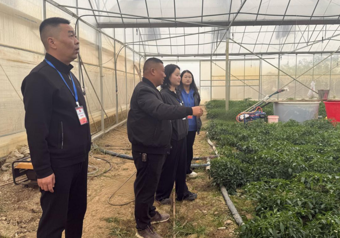 营田镇：汇聚人大力量 助推产业振兴