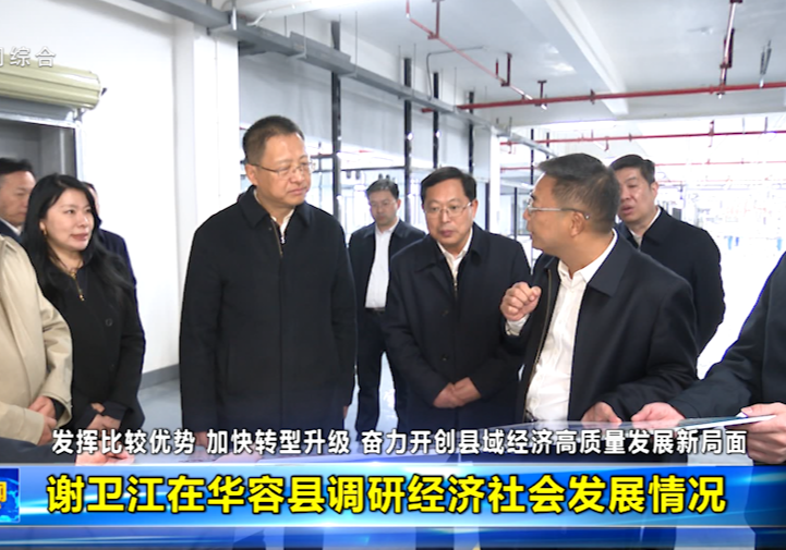 谢卫江在华容县调研经济社会发展情况