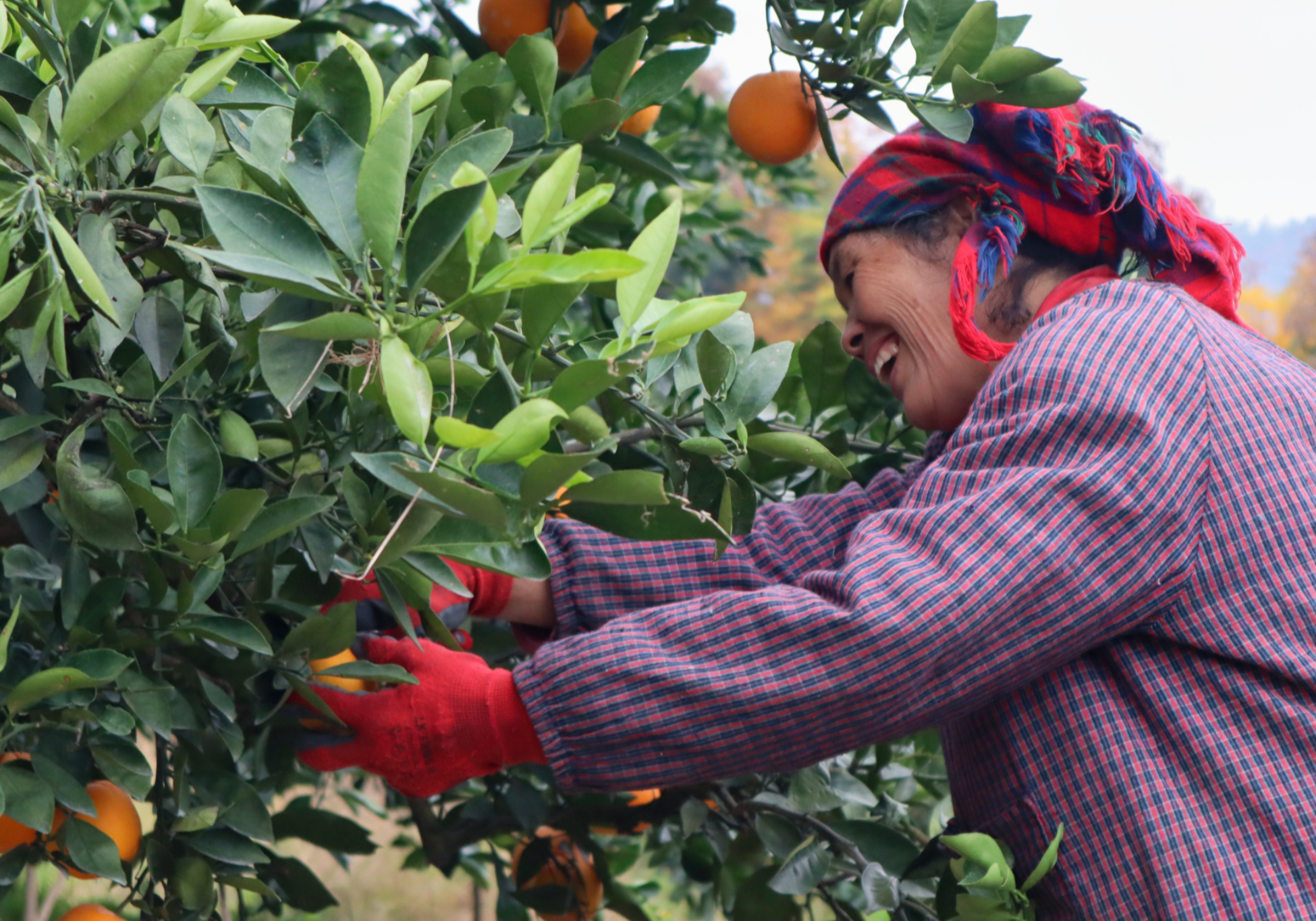 湖南邵阳：千年古城“万般变”