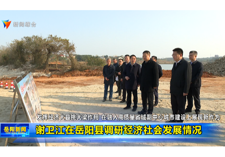 谢卫江在岳阳县调研经济社会发展情况