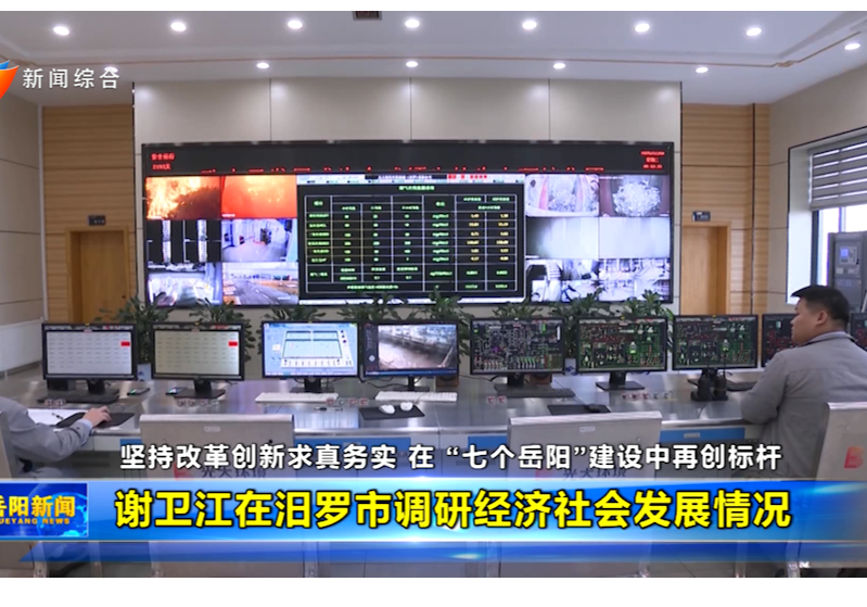 谢卫江在汨罗市调研经济社会发展情况 黎作凤参加