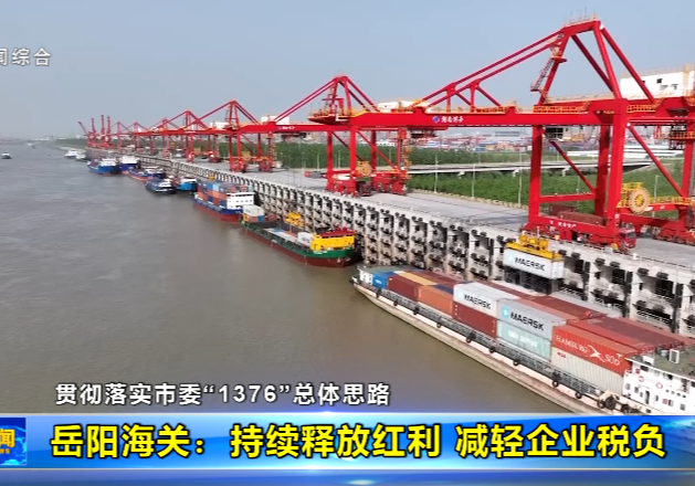【贯彻落实市委“1376”总体思路】岳阳海关：持续释放红利 减轻企业税负