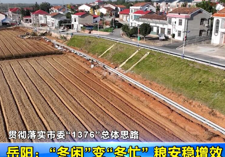 【贯彻落实市委“1376”总体思路】岳阳：“冬闲”变“冬忙” 粮安稳增效