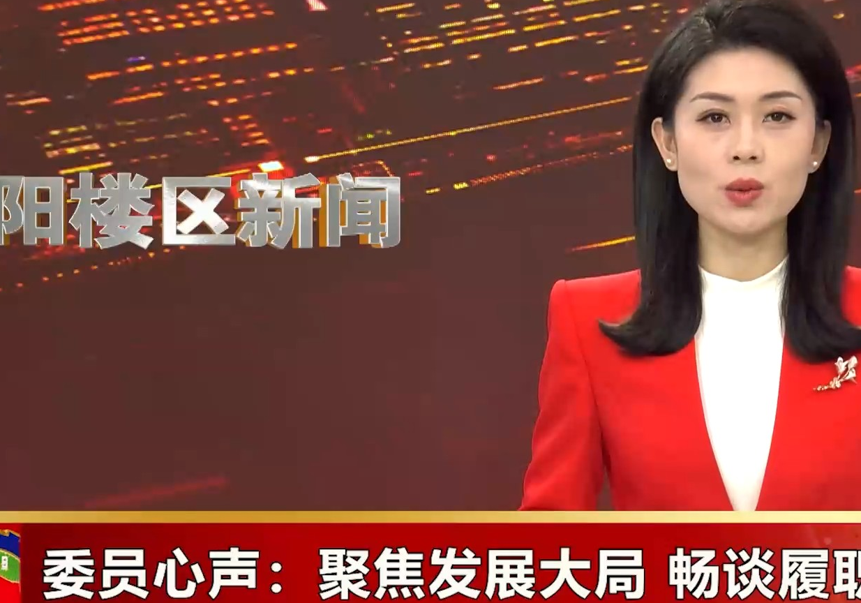 委员心声：聚焦发展大局 畅谈履职心声