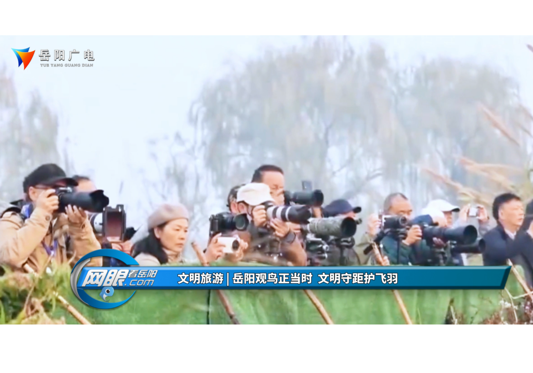 文明旅游 | 岳阳观鸟正当时 文明守距护飞羽