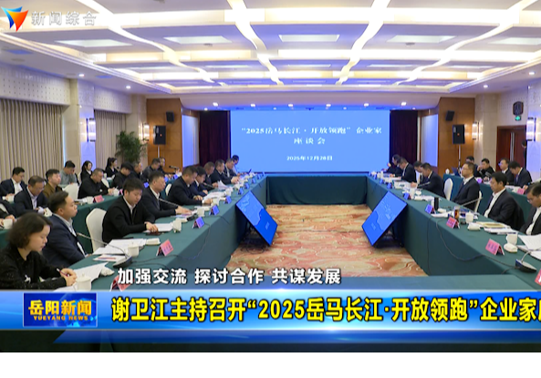 谢卫江主持召开“2025岳马长江·开放领跑”企业家座谈会