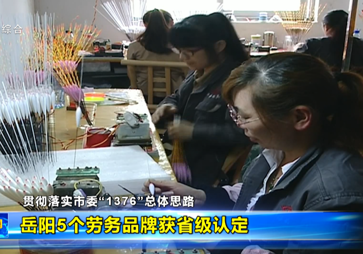 【贯彻落实市委“1376”总体思路】岳阳5个劳务品牌获省级认定