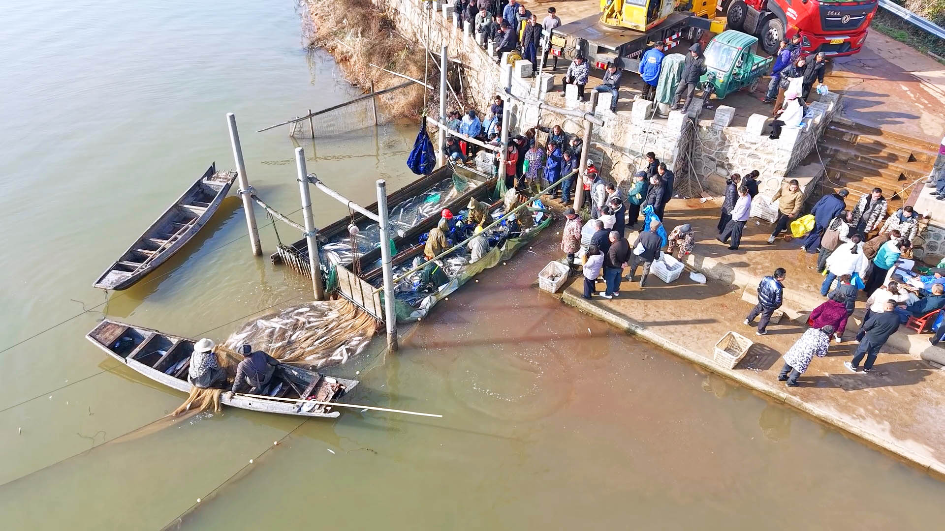 1226新建渔场:冬捕盛景 鱼跃人欢2.jpg 1226新建渔场:冬捕盛景 鱼跃人欢2.jpg