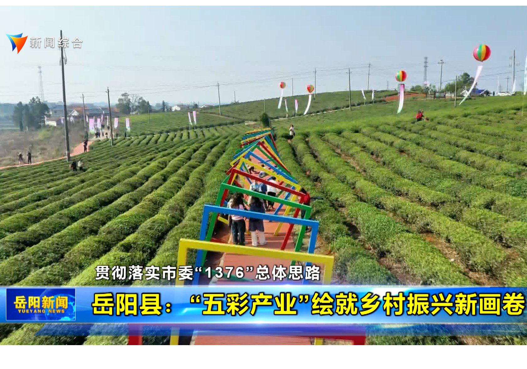 【贯彻落实市委“1376”总体思路】岳阳县：“五彩产业”绘就乡村振兴新画卷