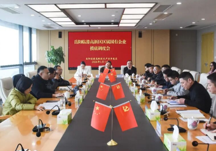 岳阳临港高新区召开区属国企业务摸底调度会