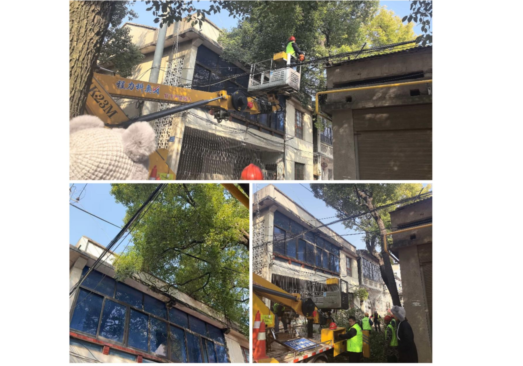 章华镇陵园街社区：修剪枯树除隐患 ”剪“出居民安全感