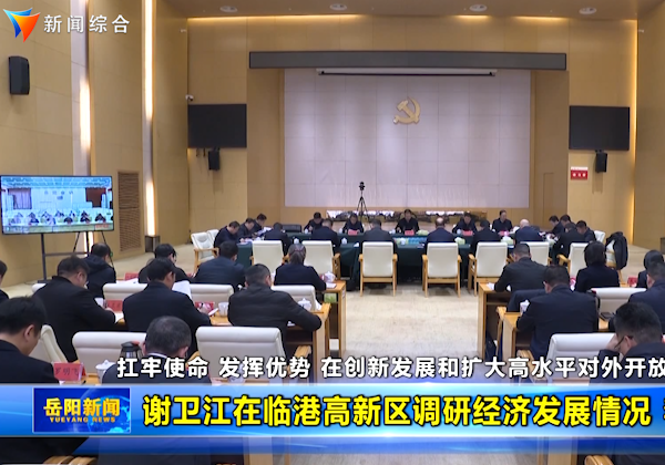 谢卫江在临港高新区调研经济发展情况 李挚参加