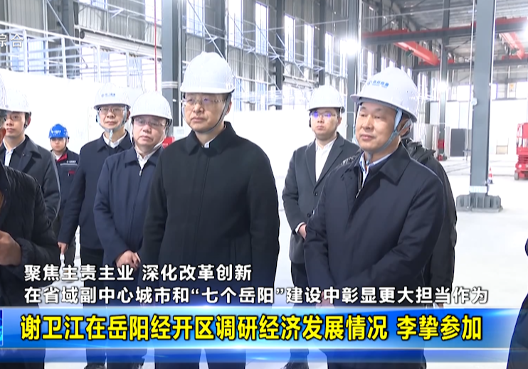 谢卫江在岳阳经开区调研经济发展情况 李挚参加