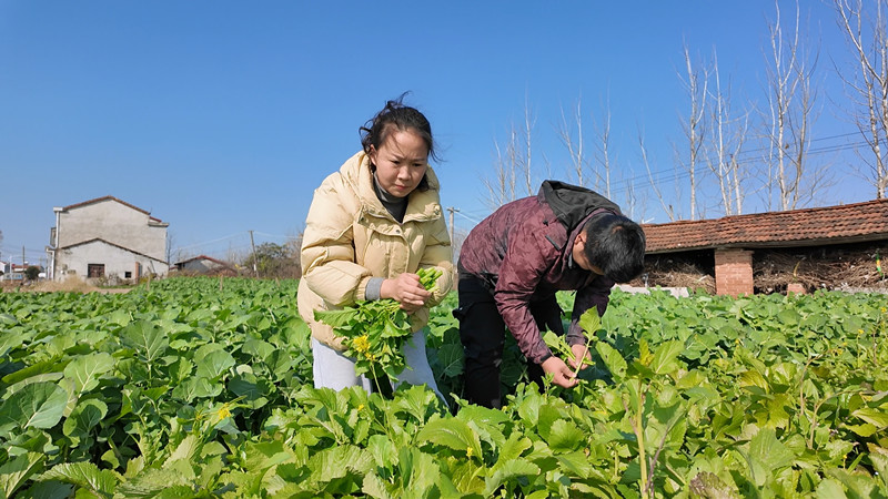 南_副本.jpg 南_副本.jpg