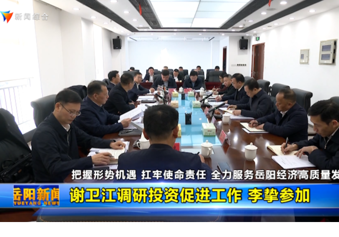 谢卫江调研投资促进工作 李挚参加