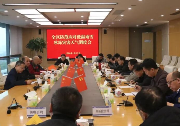 临港高新区召开全区防范应对低温雨雪冰冻灾害天气调度会