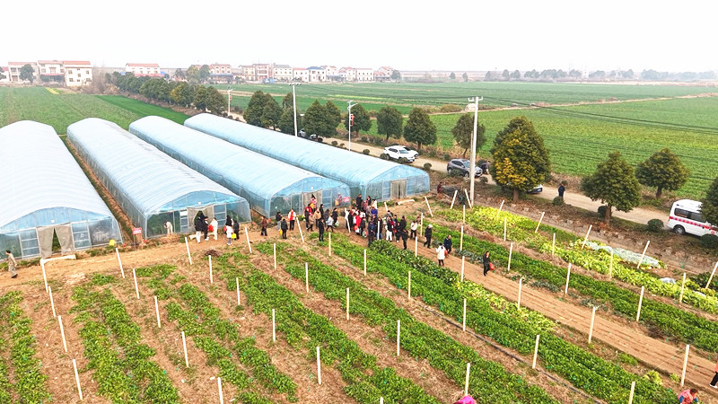 江南_副本.jpg 江南_副本.jpg