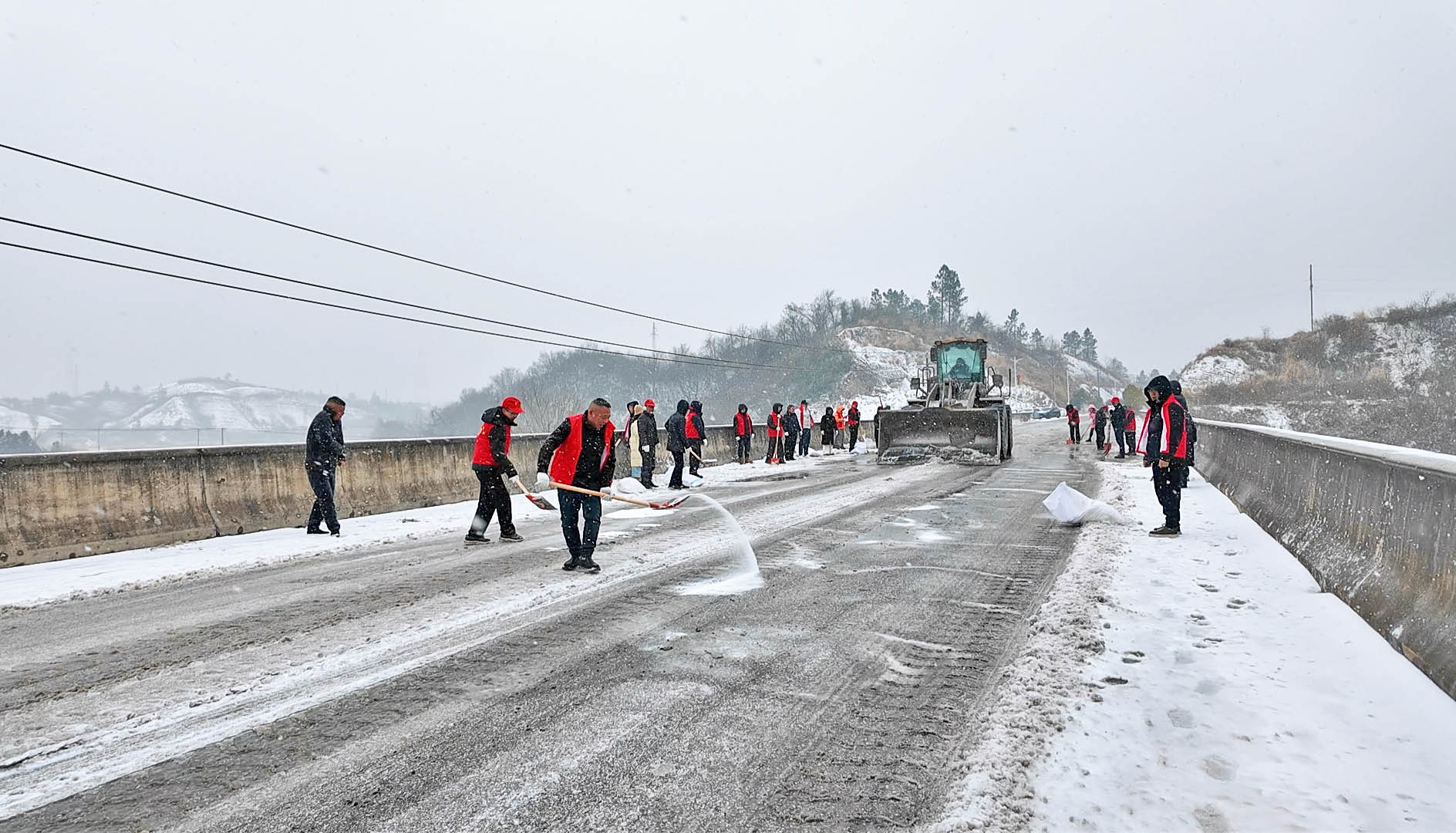 桃林.jpg 桃林.jpg