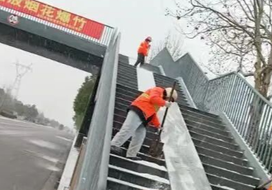 以雪为令齐上阵 除冰保畅护平安｜临港高新区开展铲雪除冰工作