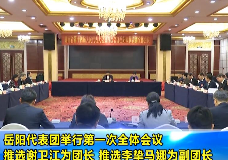 岳阳代表团举行第一次全体会议 推选谢卫江为团长 推选李挚马娜为副团长