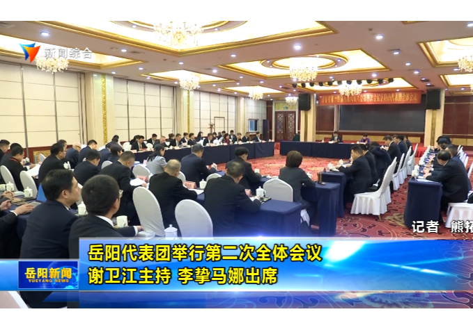 岳阳代表团举行第二次全体会议 谢卫江主持 李挚马娜出席