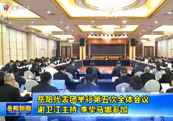 岳阳代表团举行第五次全体会议 谢卫江主持 李挚马娜参加
