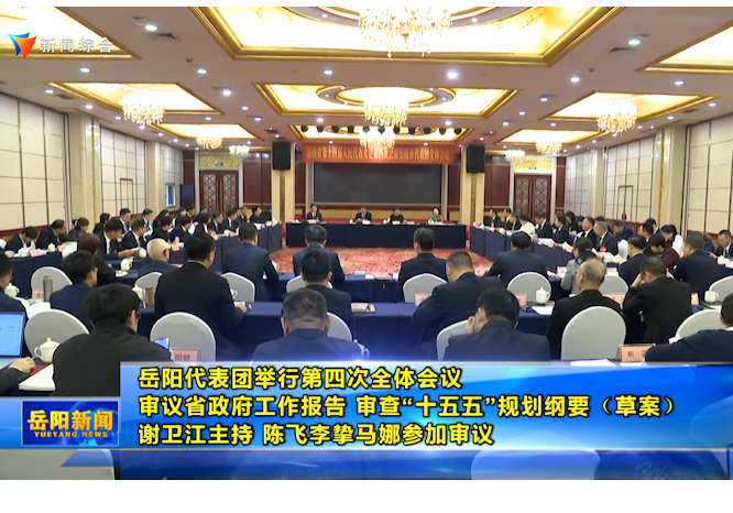 岳阳代表团举行第四次全体会议