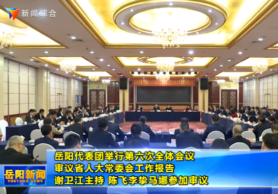 岳阳代表团举行第六次全体会议