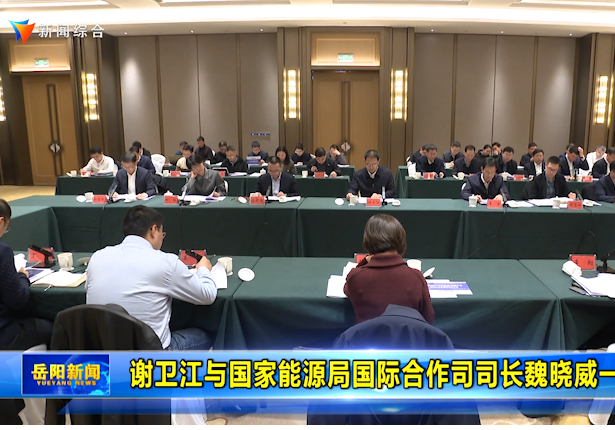 谢卫江与国家能源局国际合作司司长魏晓威一行座谈