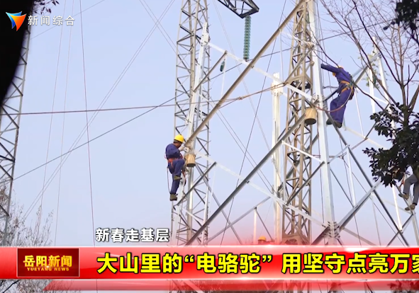 【新春走基层】大山里的“电骆驼” 用坚守点亮万家灯火